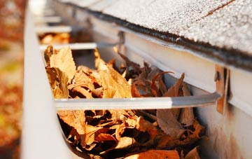Radfield gutter cleaning companies