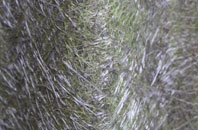 Radfield fibreglass roof work